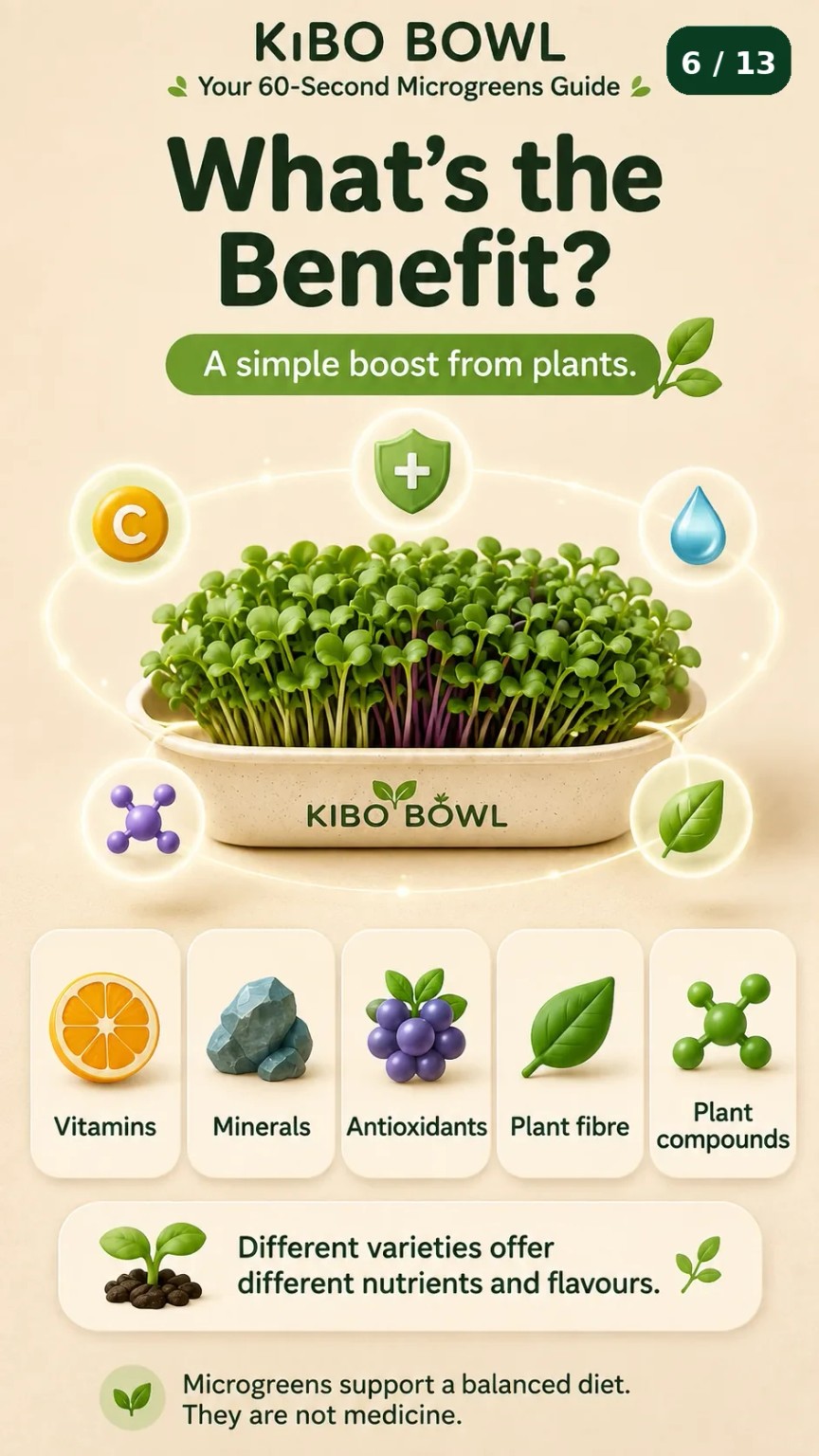 Microgreens nutrition and benefits education