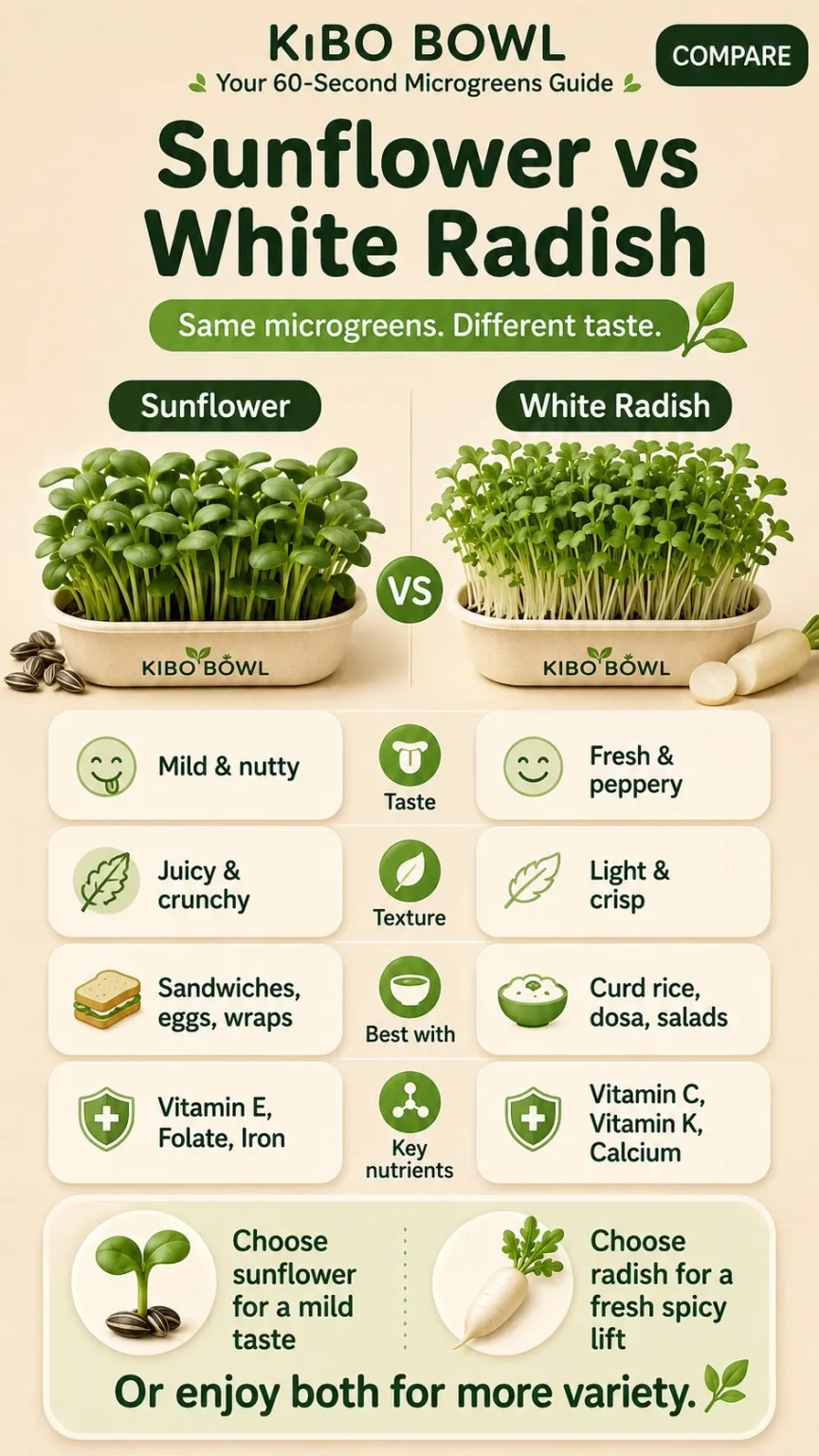 Sunflower versus white radish microgreens comparison