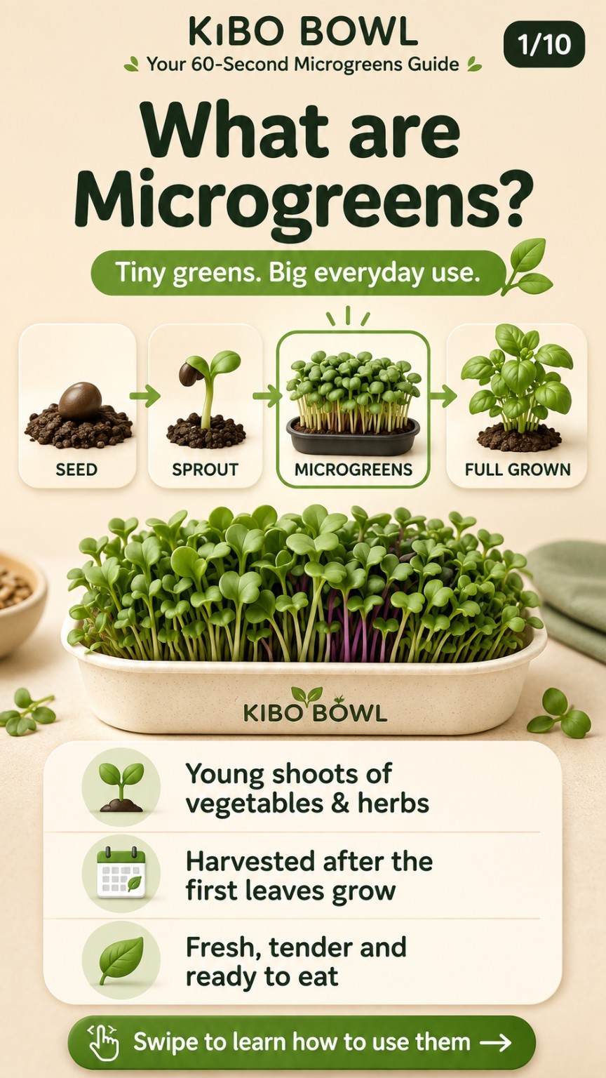 Kibo Bowl guide slide: What are Microgreens?