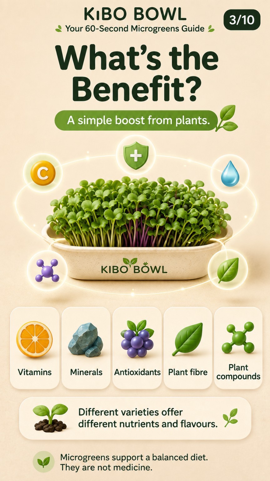 Kibo Bowl guide slide: What's the Benefit?