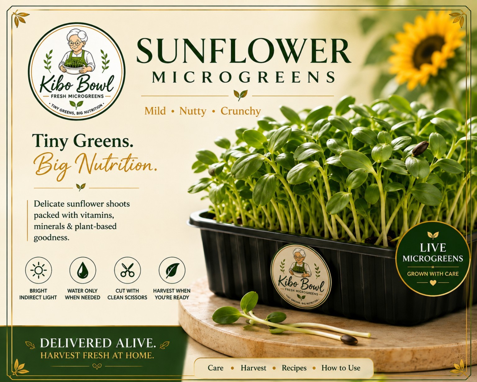 Kibo Bowl live sunflower microgreens tray